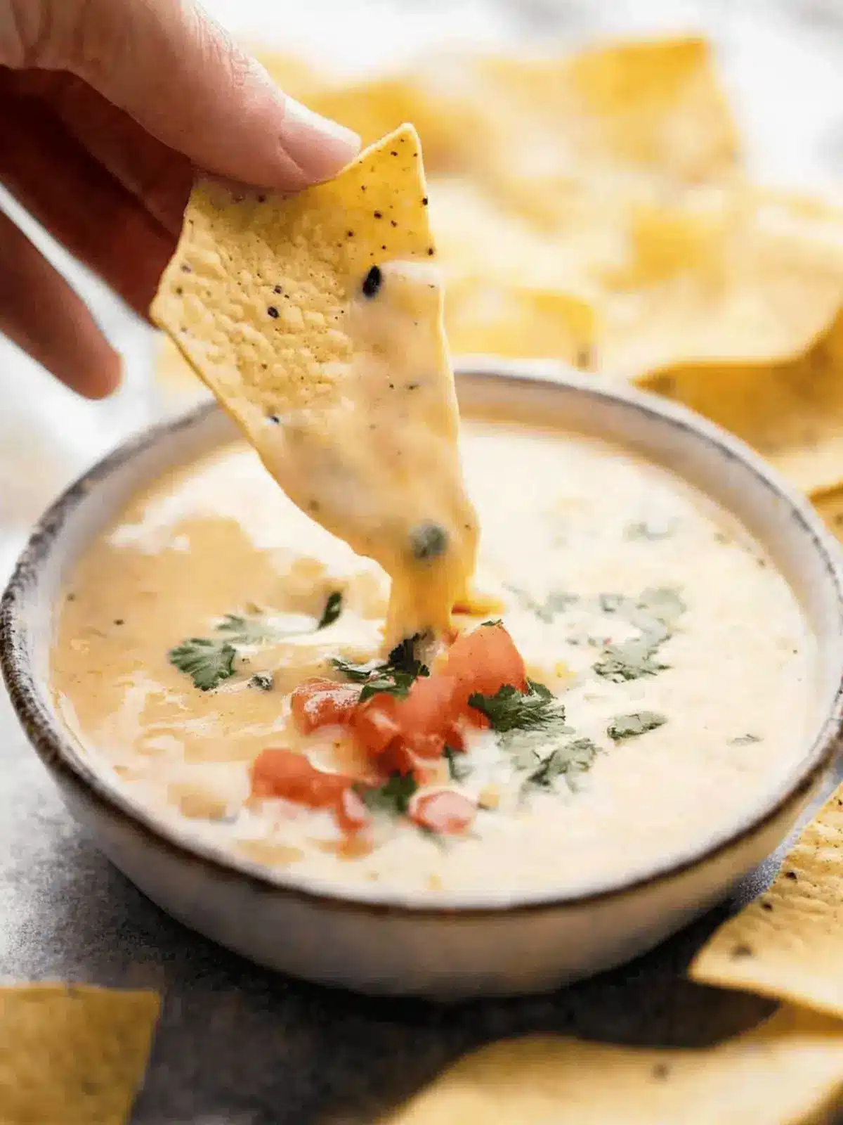 Life Changing Queso Dip That Will Wow Your Guests 3 Life Changing Queso Dip (Mexican Cheese Dip)